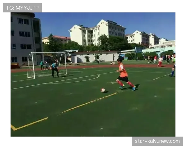 球门球规则详解及裁判判罚标准解析